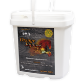 Orange Equine